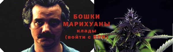 прущие крисы Армянск