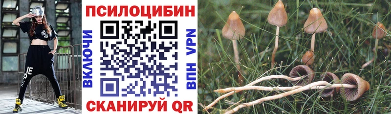 Купить где  Борисоглебск  Галлюциногенные грибы Magic Shrooms 